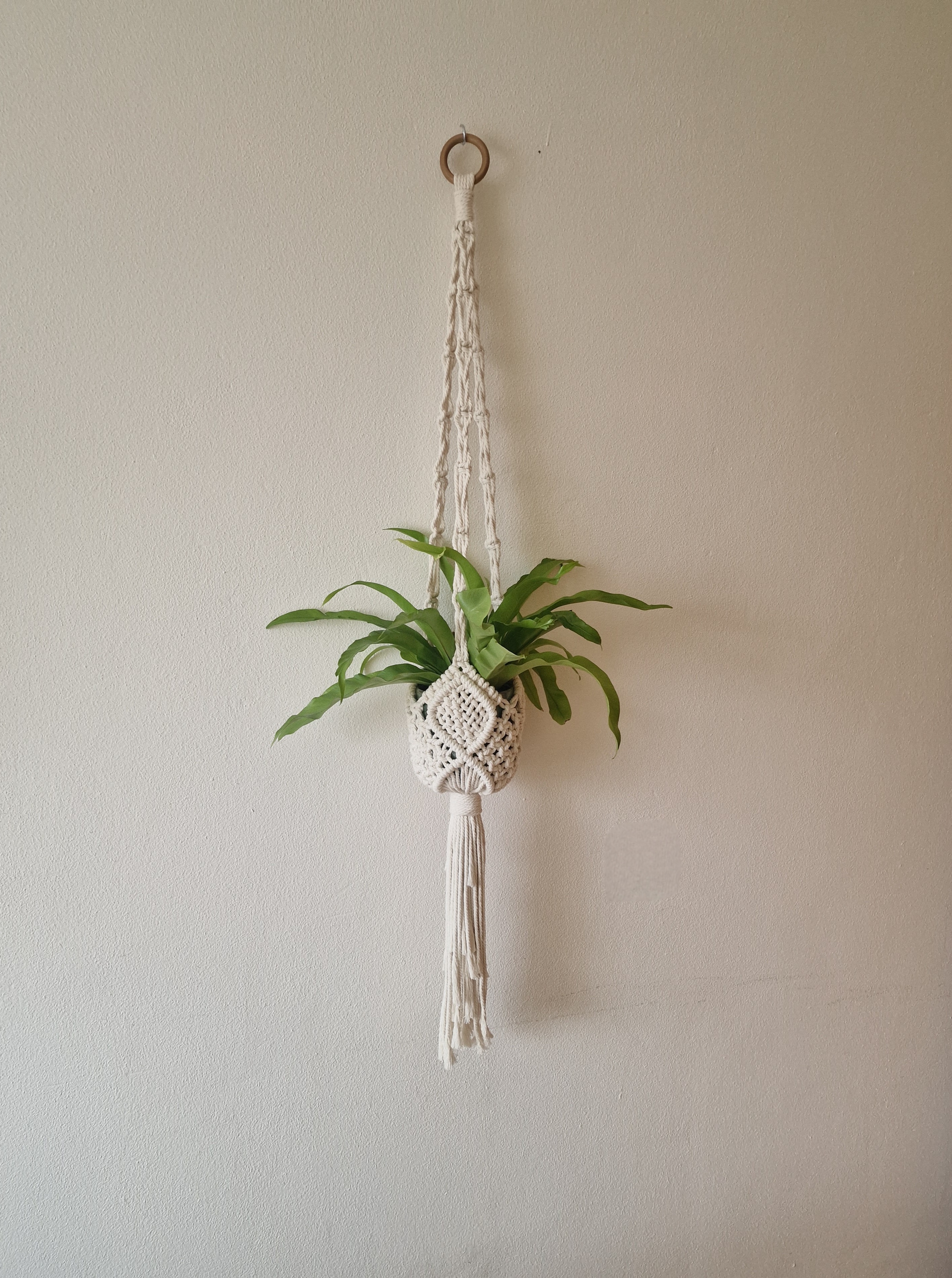 Plantenhanger