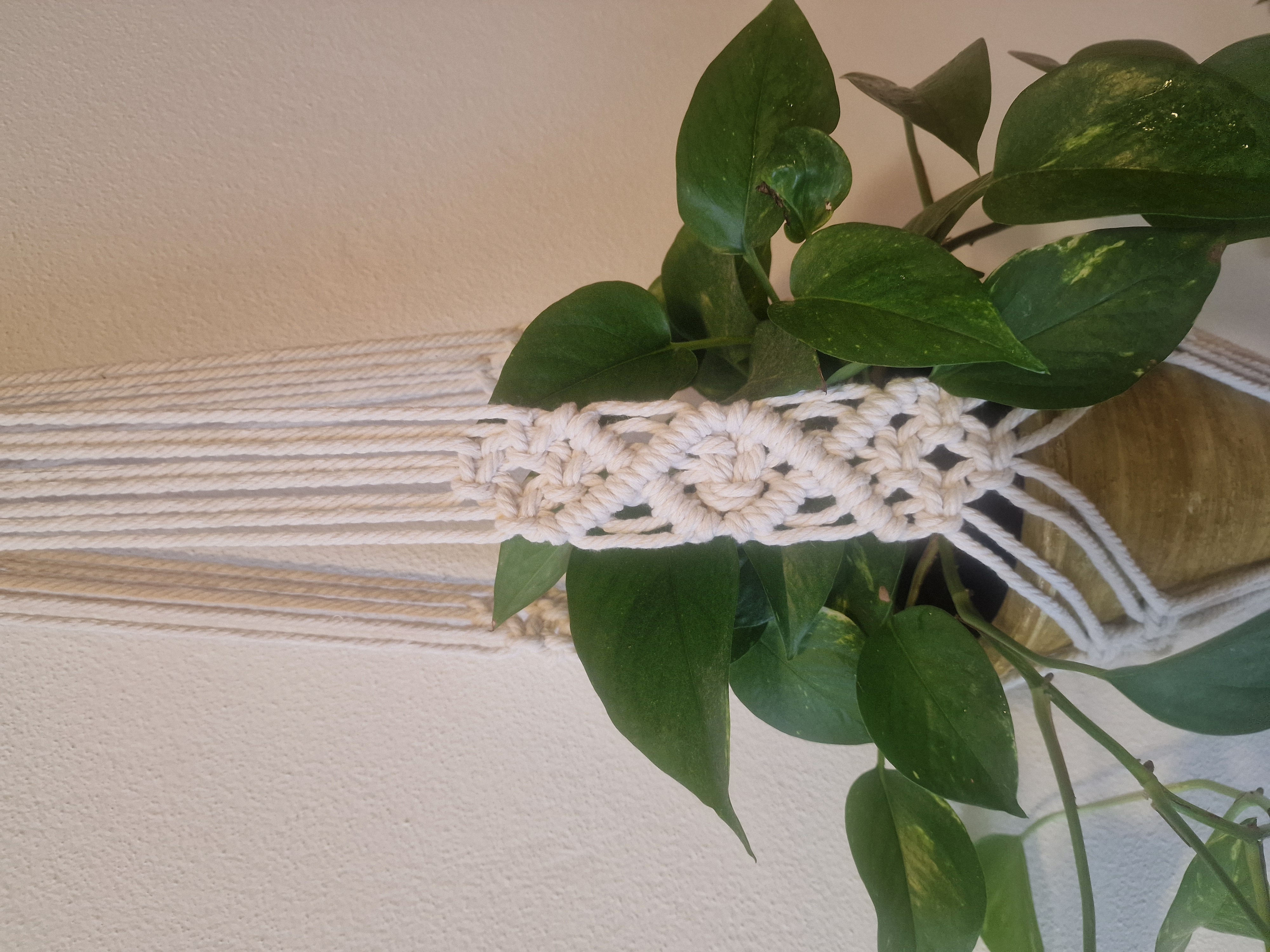 Plantenhanger