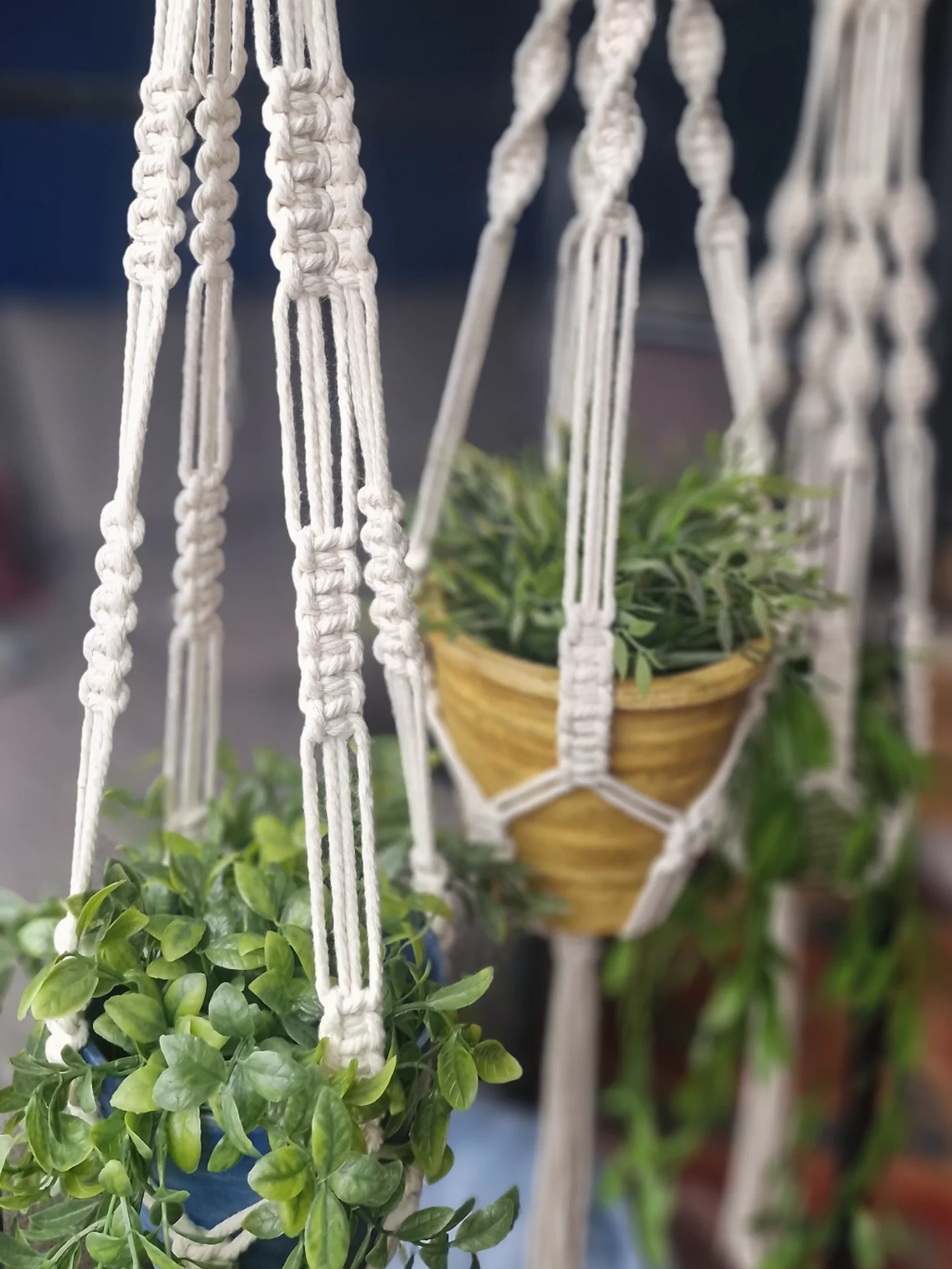 Plantenhanger